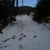, Ola Dzitkowska