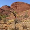 Australia - Olgas, Marcin F.