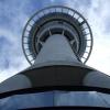 Auckland, Marcin F.