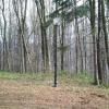 Niby-Narnia, Sabina