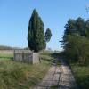 Jałowiec-pomnik przyrody, Marek Marcola