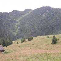 , łukasz i Gocha
