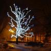 Park Wallendorfa, Wojciech Soroka