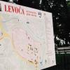 Miasto Levoća, elzbieta reimus