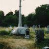 Southampton, elzbieta reimus