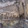 Wodospady Krka, Marek Weber