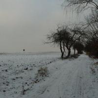 , Joanna