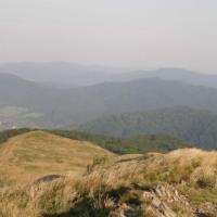 , małgorzata