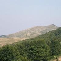 , małgorzata