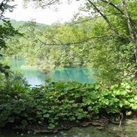 Plitvickie Jeziora, Marek Weber