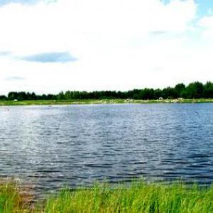 Gródek