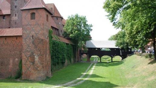 Fosa, Sławomir