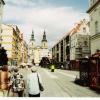 Legnica, elzbieta reimus