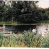 Maruszów, elzbieta reimus