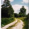 Maruszów, elzbieta reimus