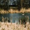 Maruszów, elzbieta reimus