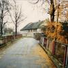 Olszyna, elzbieta reimus