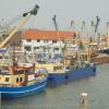 Haven Oudeschild, Marta
