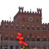 Siena - Ratusz, Bogumiła