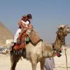 Na wielbłądzie, Martyna T.