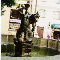 Legnica, elzbieta reimus