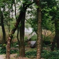 Maruszów, elzbieta reimus