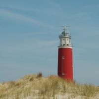 Texel, Marta