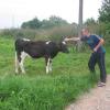 Blaskowizna, Marcin L