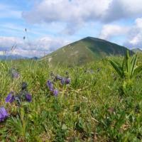 widok Na Starobociański Wierch, ania