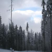 , Teresa Nowak