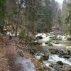 Karkonosze., Darek