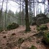 Karkonosze., Darek