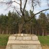 Prochy bestialsko pomordowanych ludzi, Darek