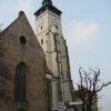 Kościół Narodzenia Najświętszej Maryi Panny, Darek