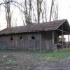 Podzamcze., Darek