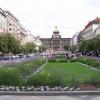 Plac Wacława, nena