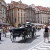Praski Rynek, nena