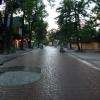 , bartek