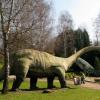 Zoo - kotlina dinozaurów