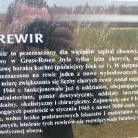 Rewir, Darek