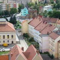 Widok z wieży Kościóła Narodzenia Najświętszej Maryi Panny, Darek