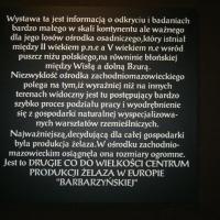 info o wystawie, Monika Rode