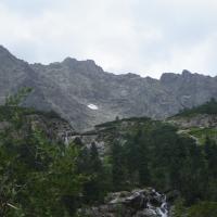 , darek