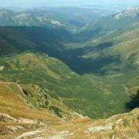 , bartek