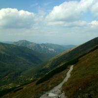 , bartek