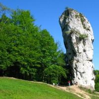 Maczuga Herkulesa