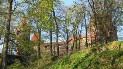Zamek Grodziec., Darek