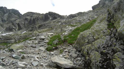 polski grzebien 2200m, darek