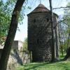 Mury obronne wraz z basztą, Darek