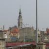 , Darek